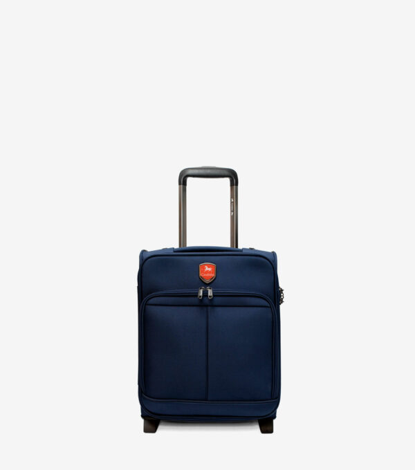 Gold Travel Cabin Luggage
