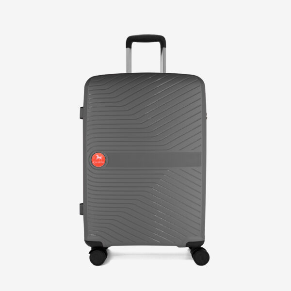 Colorful Wheeled Suitcases