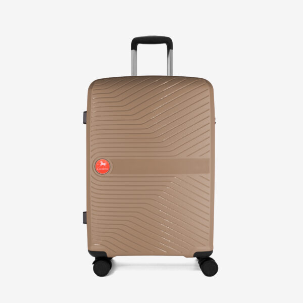 Colorful Wheeled Suitcases